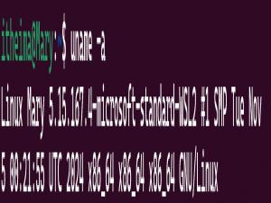 Docker搭建Hadoop分布式学习环境以及演示简单的文件上传_docker 可以安装hadoop 环境吗