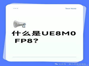 什么是UE8M0 FP8？