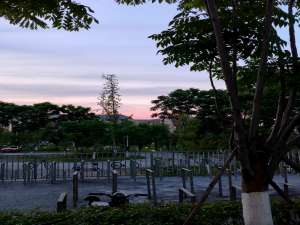 数据结构之双向链表