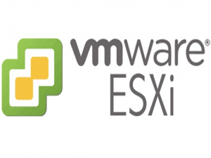 本地部署VMware ESXi服务实现无公网IP远程访问管理服务器_vmwareesxi 管理