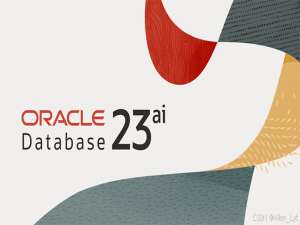 Oracle Database 23ai 技术细节与医疗 AI 应用