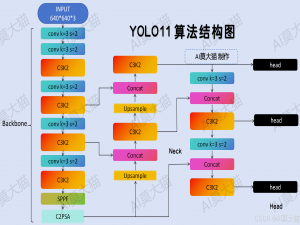 （13）10张结构图，深入理解YOLOv11算法各个模块_yolov11结构图