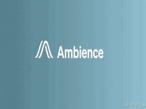 Ambience Healthcare：AI驱动的医疗行政效率革命——从C轮2.43亿美元融资看医疗操作系统未来(上)_医疗AI行政效率提升方案