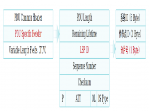ISIS高级特性LSP的分片扩展
