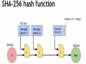 SHA-256 哈希算法详解_sha256