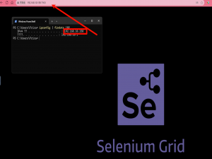 Docker 使用 Selenium：在容器化环境中运行自动化测试