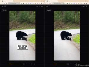 IOPaint 图像修复工具，学习笔记