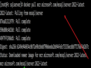 Docker 部署 Microsoft SQL Server 指南_docker sqlserver