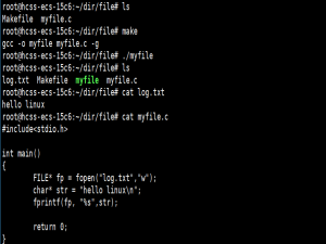 从文件到文件描述符：理解程序与文件的交互本质