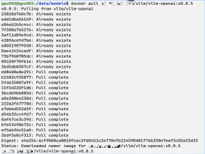 「模型部署系列」ubuntu 使用vllm部署Qwen3-8B模型_--enforce-eager