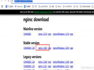 arm内核架构服务器本地离线安装nginx服务_nginx arm