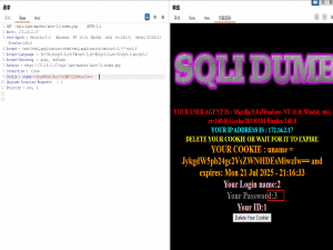 sqli-labs-master/Less-21~Less-30