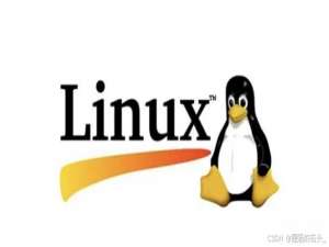 【Linux指南】gcc/g++编译器：从源码到可执行文件的全流程解析