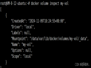 Docker--Docker Volume（存储卷）