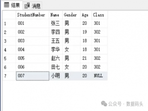 【SQL】Update更新数据_update sql