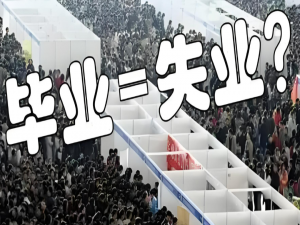 2025 年就业竞争激烈！当1222 万毕业生遭遇 “35 岁门槛” 与 AI 革命的双重冲击_新职业从事人数占比
