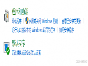 【IIS】微软 IIS（Internet Information Services）Web 服务器配置教程（Windows 10）_win10 iis服务