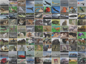 【PyTorch】图像多分类项目_pytorch图像分类