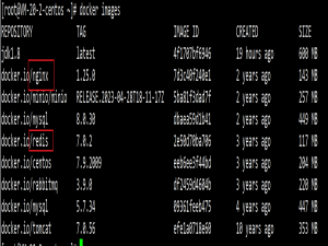 若依部署项目到服务器_若依部署nginx