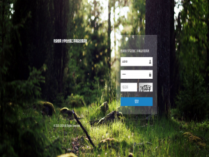 校园二手交易小程序的设计与实现