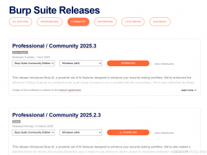 【Linux】安装抓包工具Burp Suite 2025&激活&汉化_burpsuite汉化