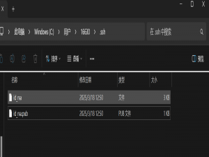 Git 使用SSH登陆_git ssh