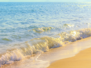 【 苍穹外卖day6 | 微信小程序 】