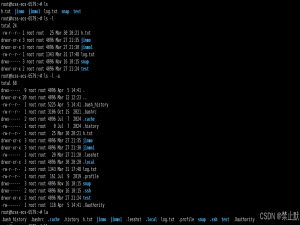 Linux 指令初探：开启终端世界的大门_linux 命令行返回 <tr><td>