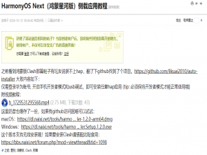 HarmonyOS Next（鸿蒙星河版）侧载应用_鸿蒙侧载