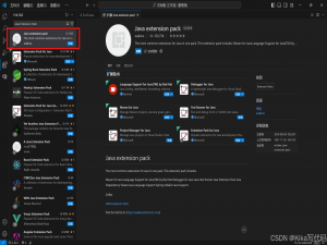 【已解决】VScode 配置 Java 开发环境（2024新）Visual Studio Code 手把手教你 超详细教程 小白 jdk class_vscode配置java