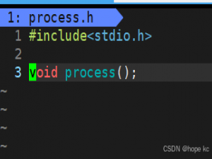Linux探秘坊-------4.进度条小程序