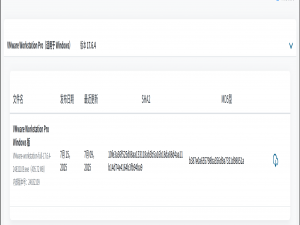 Kali Linux下载安装及配置（VMware虚拟机）保姆级图文教程（2025最新更新）_kali linux安装