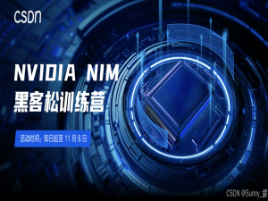 基于NVIDIA NIM 平台的知识问答系统实现客服功能_1000 api credits to use any nim