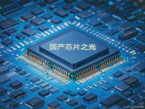 国产芯片之光，海光2024H1营收预增长为何迅猛异常？_h1年度