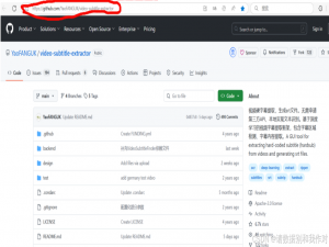 视频字幕提取工具 ——Video-subtitle-extractor