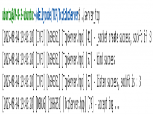 Linux网络编程：TCP初体验