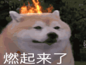 【初阶数据结构】时间复杂度和空间复杂度（超有趣+超详细）