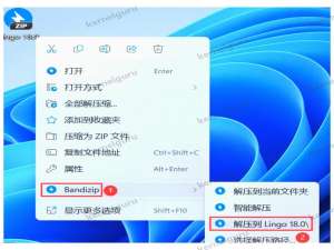 【2025】Lingo 18.0下载安装超详细保姆级教程(附安装包)_lingo安装