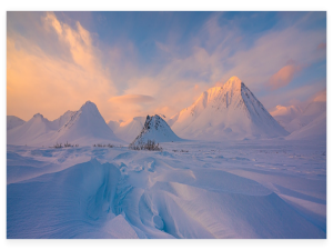 运行库全包揽！微软Visual C++合集，让软件运行如丝般顺滑_visual c++运行库合集