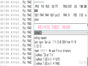 【Linux详解】进程等待 | 非阻塞轮询_非阻塞循环