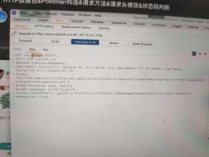 小迪web自用笔记10[数据包详解]