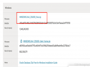 Oracle 23ai 对应windows版本安装配置&PLSQL导入pde文件&navicat连接Oracle_oracle导入pde文件