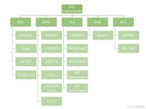 【手写数据库内核miniToadb】第2天 与数据库交互的桥梁--SQL解绍