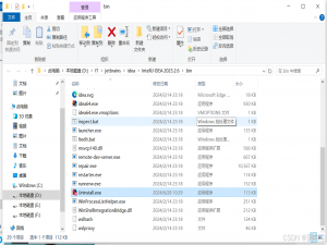 IntelliJ IDEA 2025最新版安装使用说明（适用Jetbrain全家桶）_idea2025