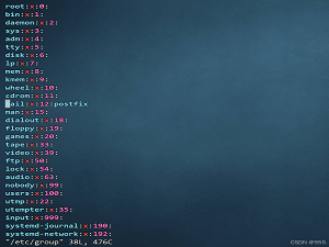 linux云计算基础篇章小白欢迎来看