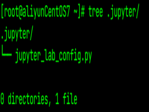 服务器安装jupyterLab_服务器上安装jupyter lab