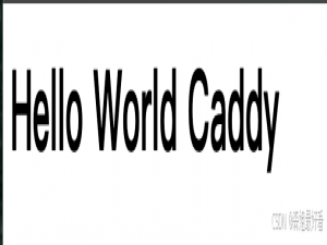 用 Caddy 为你的 IP 加锁：Ubuntu & macOS 双系统 HTTPS 代理教程_caddy 代理