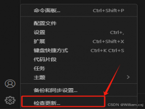 VSCode——python选择解释器消失的解决办法