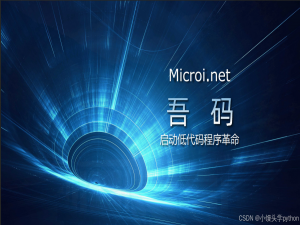 【博主推荐】 Microi吾码开源低代码平台，快速建站，提高开发效率_低代码建站