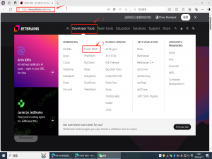 （2025）IDEA 下载与安装保姆级指南_idea2025